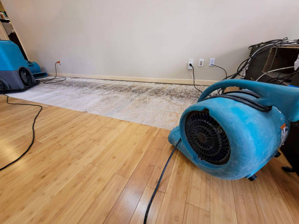 Professional Water Damage Repair technician working in Horsham, PA